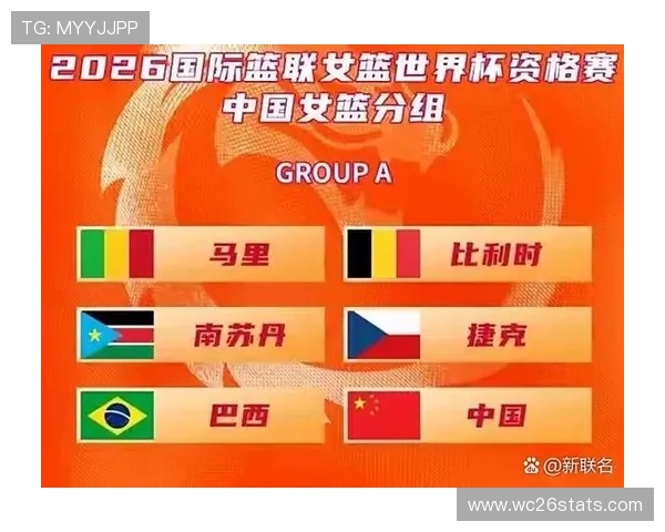 2026年世界杯附加赛名额分配方案详解及各国晋级前景分析